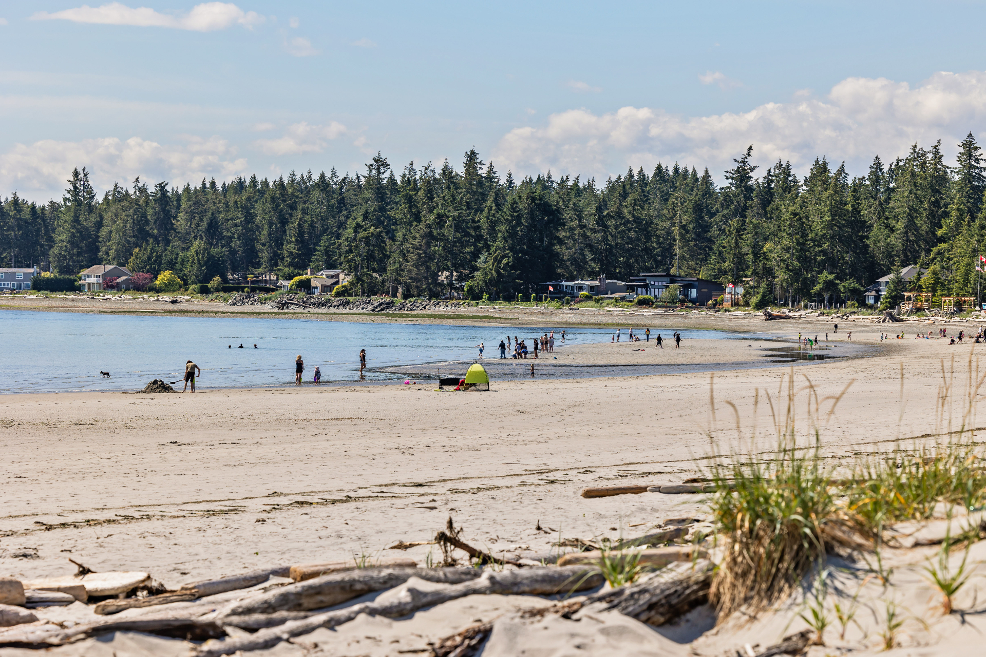 Saratoga Beach shoreline